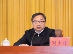信軟司謝少鋒：推動(dòng)信息化和軟件服務(wù)業(yè)改革創(chuàng)新， 支撐制造強(qiáng)國(guó)和網(wǎng)絡(luò)強(qiáng)國(guó)
