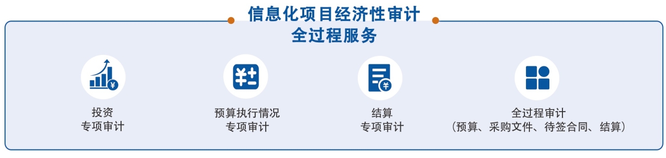 信息化項目經濟性審計全過程服務